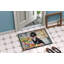 Paillasson Decorating-112770196