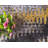 Indoor/Outdoor Veranda Area Rug Solace Color-1173894835