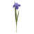 Lavender selected