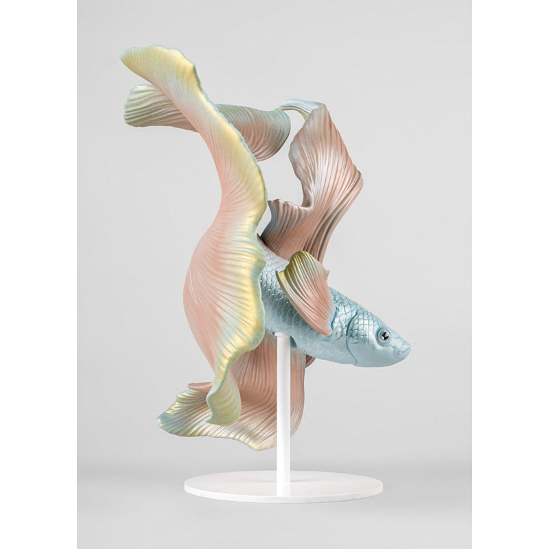 Betta Fish Left
