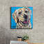 «Furry Dog Friend 1» par Carolee Vitaletti-1573448378