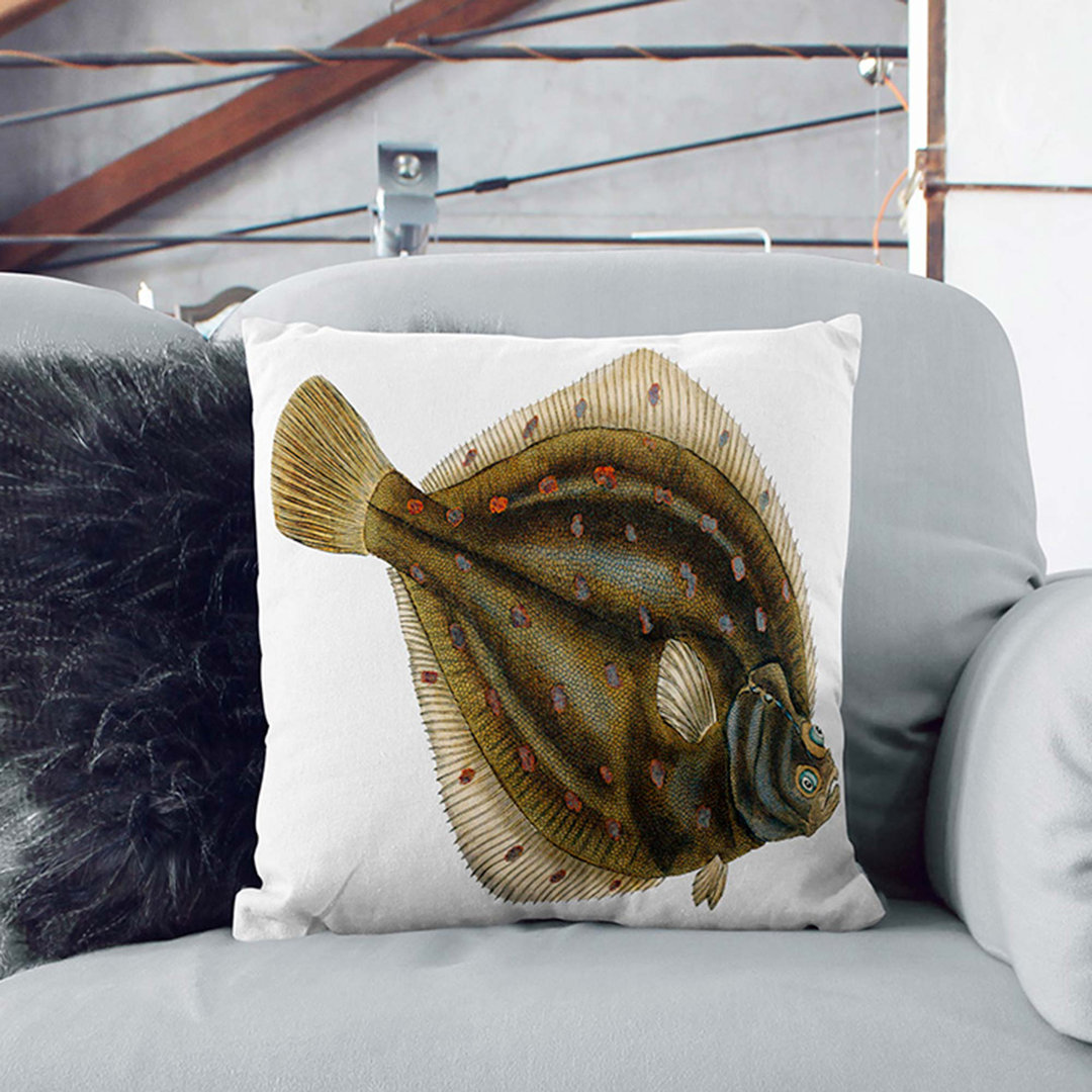 Plaice Fish by Edward Donovan Cushion with Filling