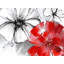 Fleurs rouges et blanches, reproduction sur toile