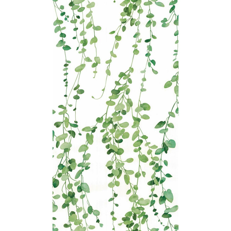 Rouleau de papier peint adhésif Coto, Vert