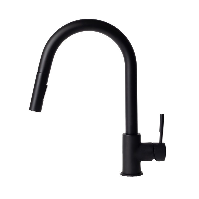Gemini Single Handle Kitchen Faucet with Side Spray and Accessories, Matte Black