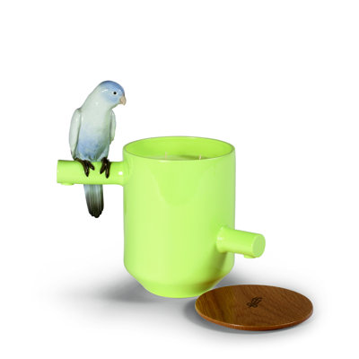 Bougie parfumée Parrot Party