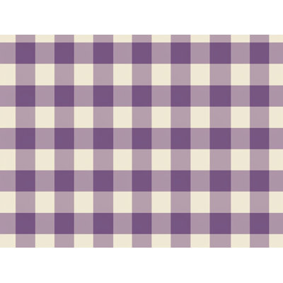 Plain Weave / Muslin Blanket
