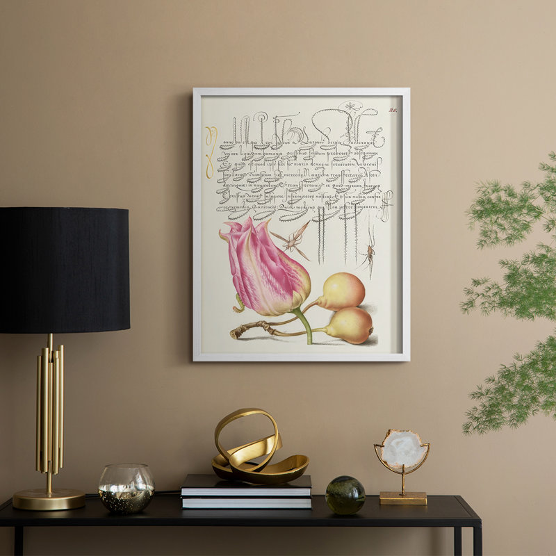 Reproduction encadrée de Hoefnagel, «Tropical Specples III» - bois massif, H 30 po x l 24 po, White