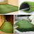 Golf Putting Green Artificial Grass Turf Rugs and Rolls Custom Sizes-123301196