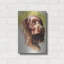 «Am Water Spaniel» par Barbara Keith-1584492133