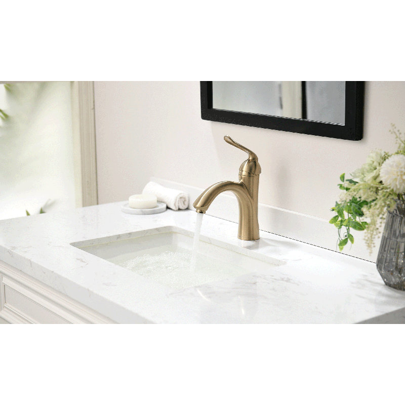 Robinet pour salle de bain à poignée simple avec drain, Bronze doré