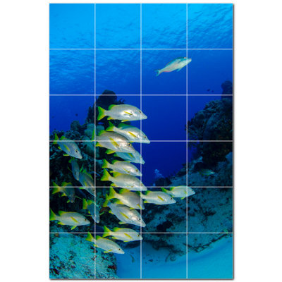 12 x 12