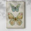 Papillon botanique II - Cavas enveloppés de galerie-1113115852