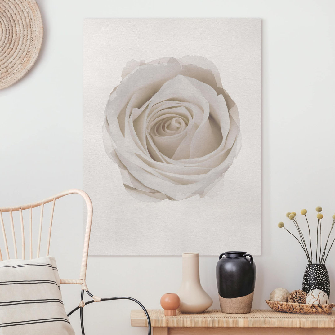 Leinwandbild Aquarell - Hübsche weiße Rose