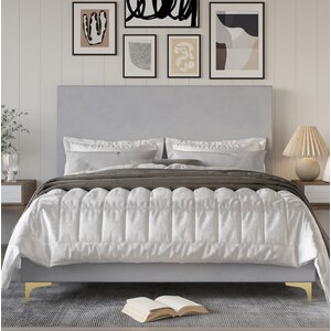 Rhea Upholstered Low Profile Standard Bed Queen 