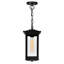 Luminaire suspendu d'extérieur noir 1 lumière Oakwood