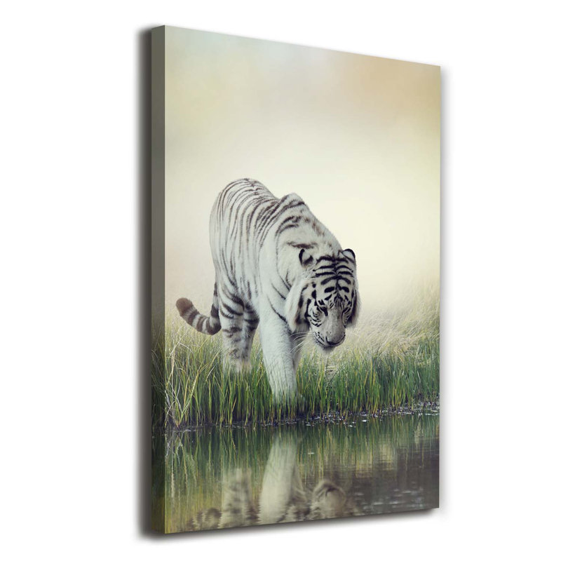White Tiger - Wrapped Canvas Print