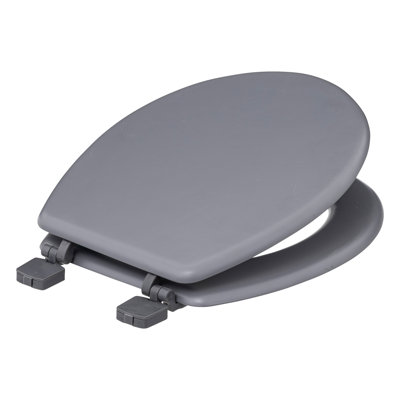 Soft Close Elongated Standard Toilet Seat