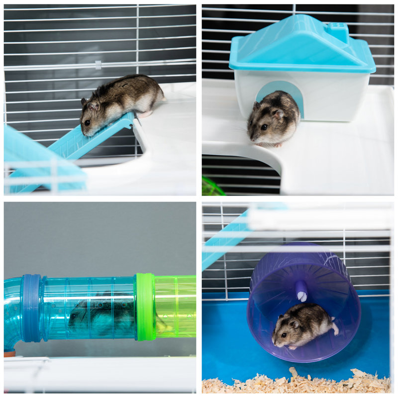Très grande maisonnette pour hamster de 23 po - 5 avec tubes et tunnels