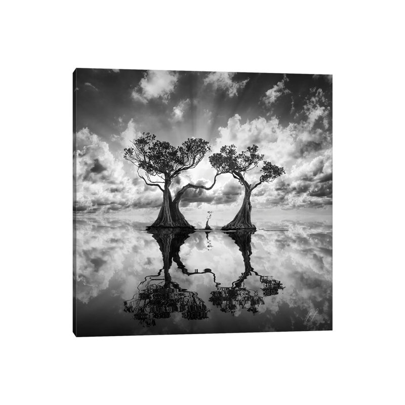 Mangrove Trees I by Kathrin Federer - Wrapped Canvas Print, 45.72 cm H x 45.72 cm W