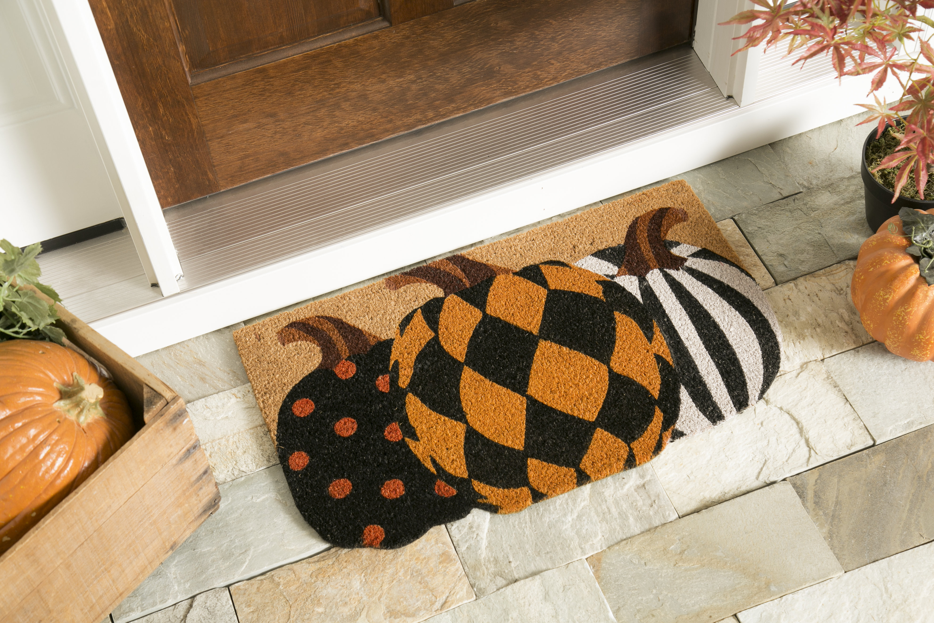 Laurel Foundry Modern Farmhouse® Honea 18 x 30 Harvest Pumpkins Shaped Outdoor Coir Doormat & Reviews | Wayfair