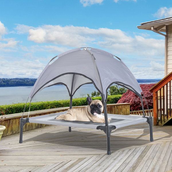 https://assets.wfcdn.com/im/15312484/resize-h600-w600%5Ecompr-r85/1132/113202271/Harter+Cot+Elevated+Cooling+Dog+Bed+with+Canopy+Shade.jpg