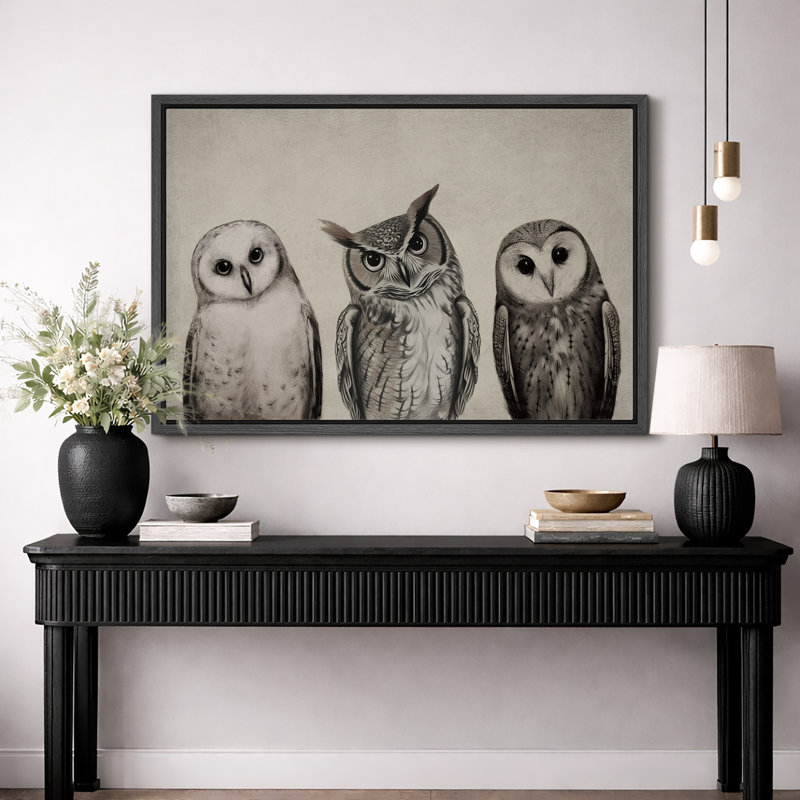"Bird Birds", variété de chouettes, encadrée sur toile, Noir, noir, noir, noir, H 16 po x l 24 po x P 1,5 po