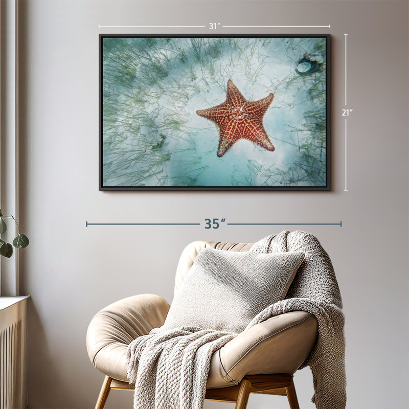 Impression sur toile d'étoiles de mer Shallows, H 21 po x l 31 po