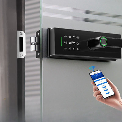 Smart Lock With Fingerprint, Password, Keys Unlock, Black - Glass Door Locks