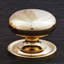 CK Series Mushroom Knob-12829827-12829820