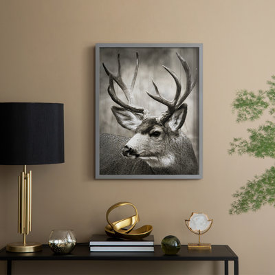 Focused Buck Framed Print - Solid Wood