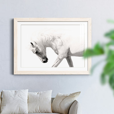Neutral Stallion - Photographie avec cadre photo