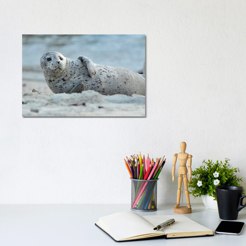 Lounging by Brian Wolf - Wrapped Canvas Print, 20.32cm H x 30.48cm W x 1.91cm D
