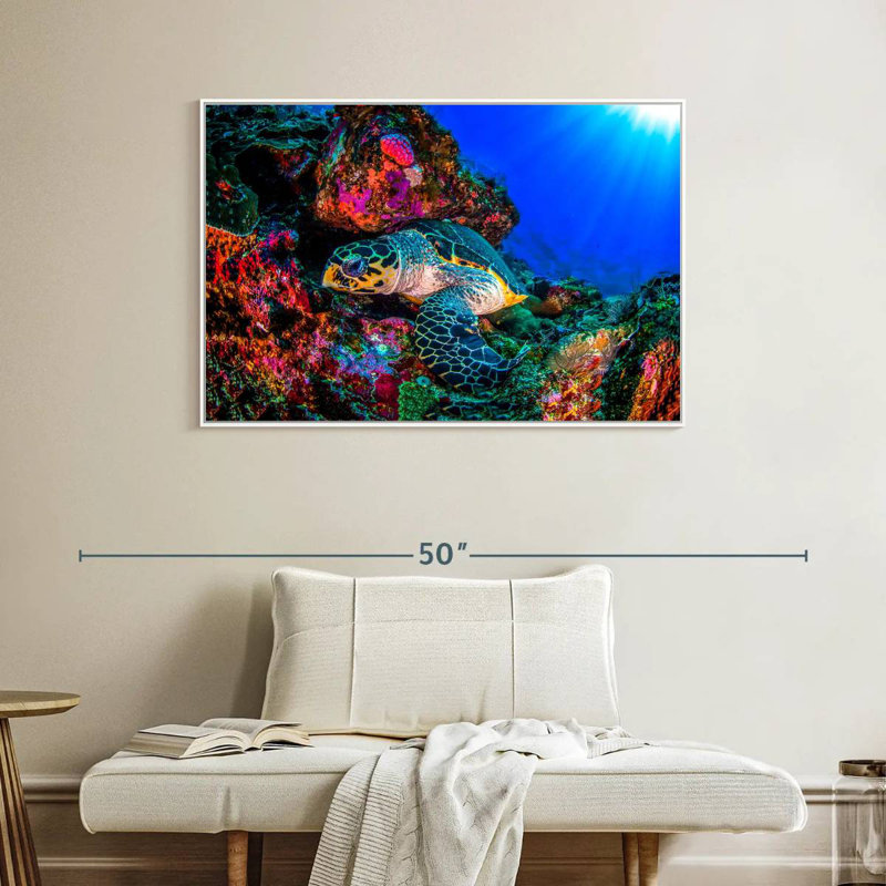 Tortue océan monde, Cadre flottant blanc, 40 po x 27 po