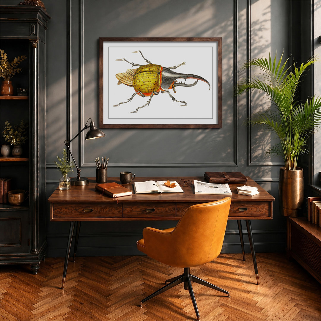 Hercules Beetle by George Shaw - Framed Print