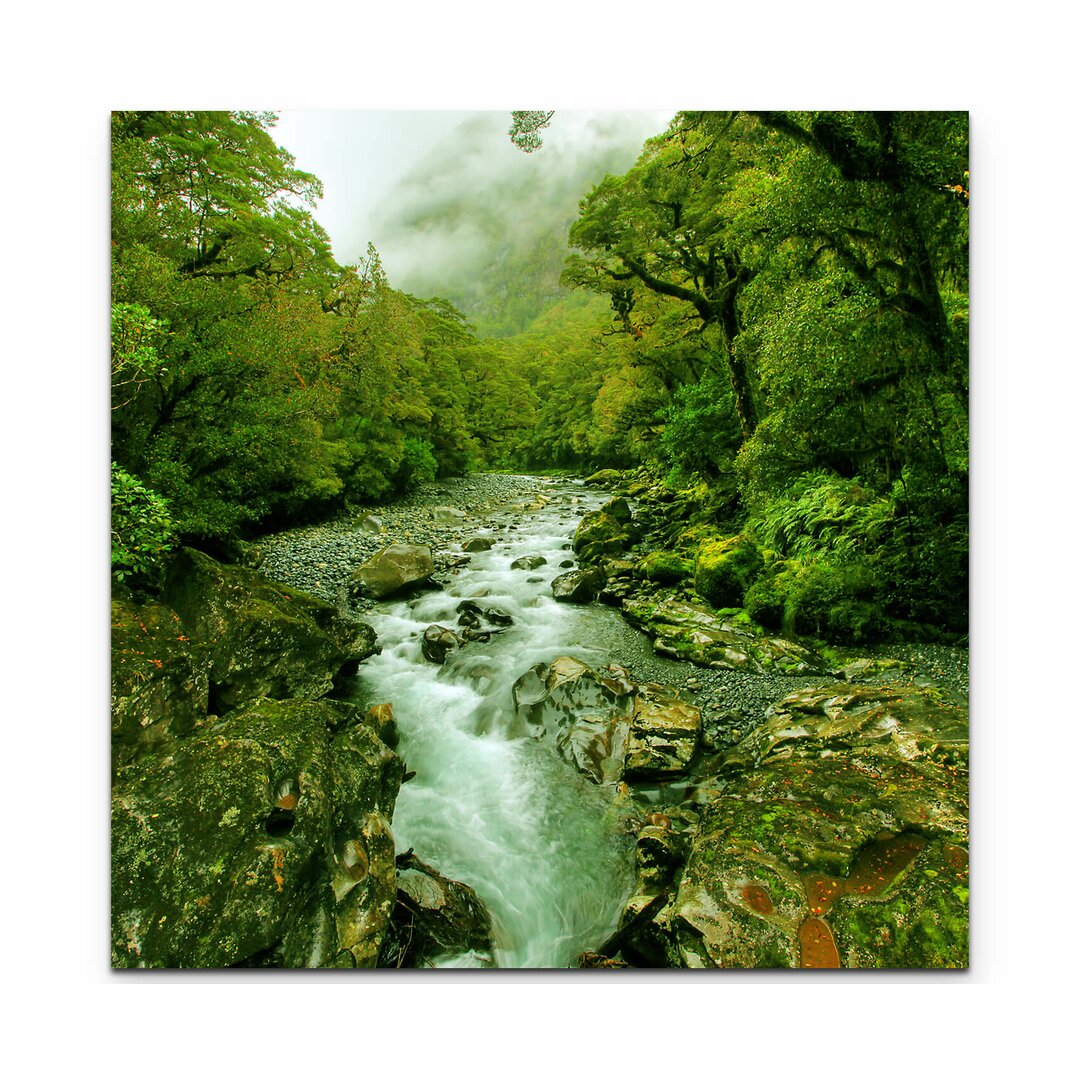 Leinwandbild Ein kleiner Fluss im Regenwald