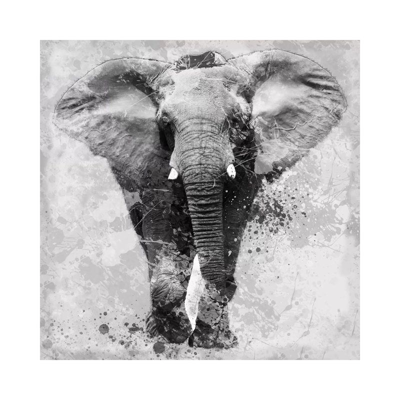 Proud Elephant by Carol Robinson - Print on Canvas, 93.98 cm H x 93.98 cm W x 1.91 cm D, Wrapped Canvas