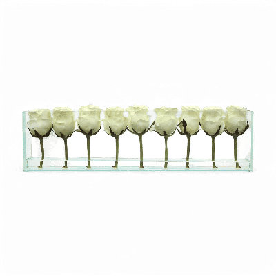 Roses 24 "avec vase encastré blanc