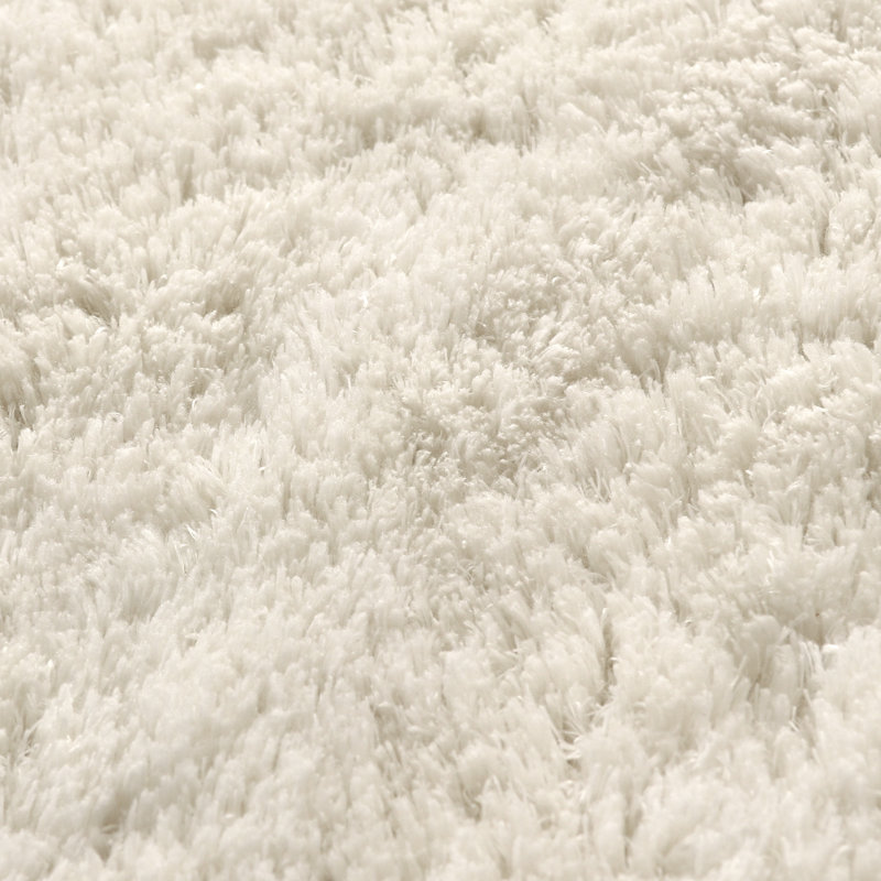 Fuzzy Plush Area Rugs Shaggy Floor Carpets Bathroom Rug Non Slip Fluffy Area Rug Comfy Home Decor Machine Washable  Floor Area Rugs