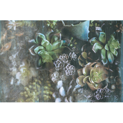 Succulents 4 - Wrapped Canvas Print