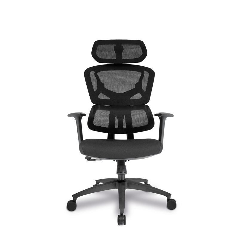 Dansfield Mesh Office Chair