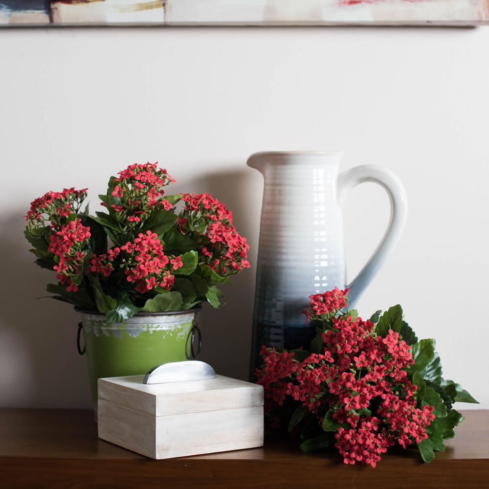 Kalanchoe Stem, Red, 15" H x 10" W x 10" D