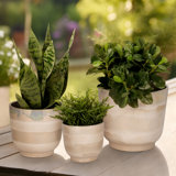 Andru Ceramic Trio Elegance Enhance Your Space With Style