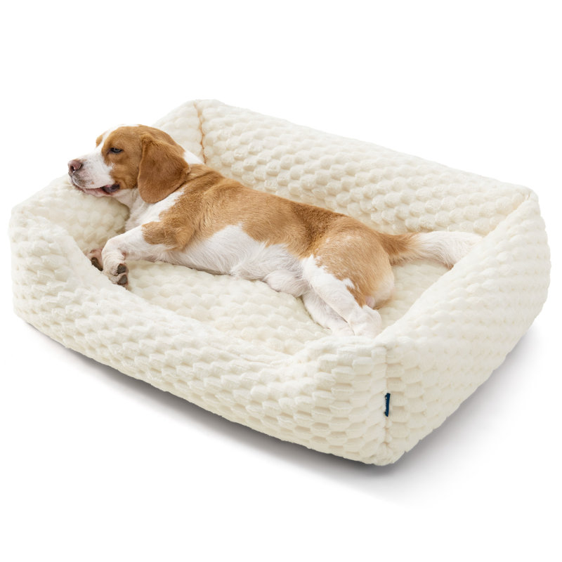 Lit pour chien avec traversin et housse lavable avec rembourrage en molleton Bubble, Crème, L (8" H x 35" W x 25" D)