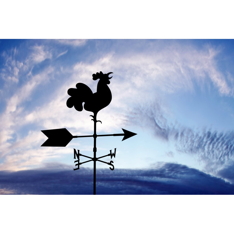 Wind Vane Silhouette by Sharply_Done, 32" H x 48" W