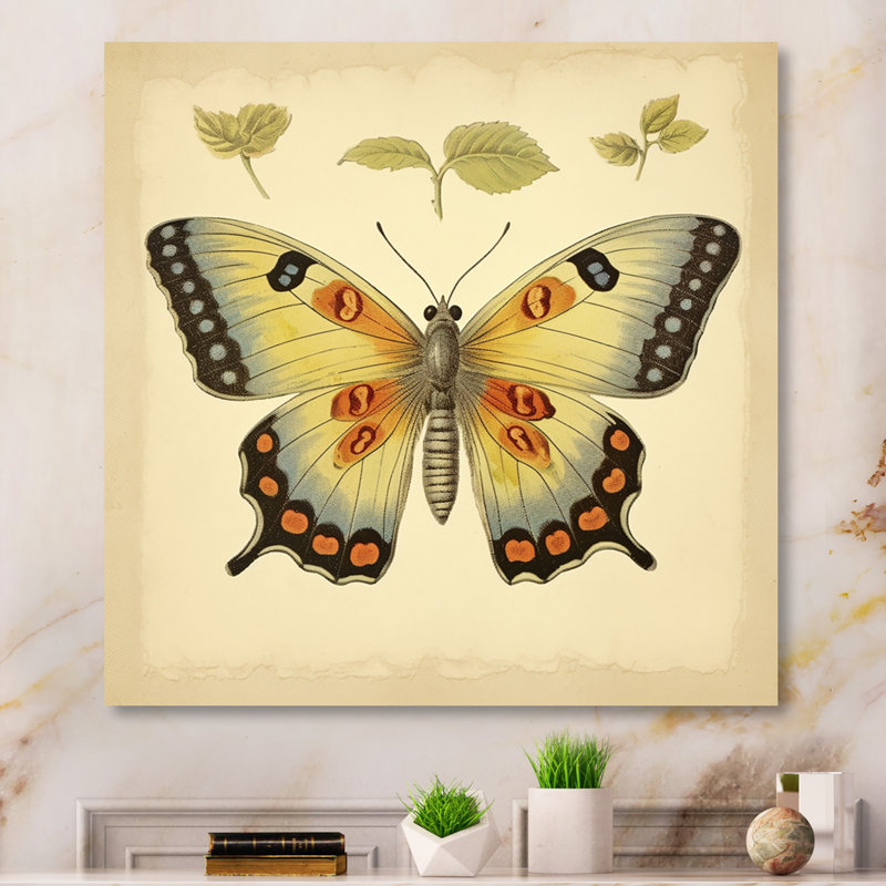 Illustration rétro d'un papillon élégant, H 30 po x l 30 po x P 1 po, Toile tendue