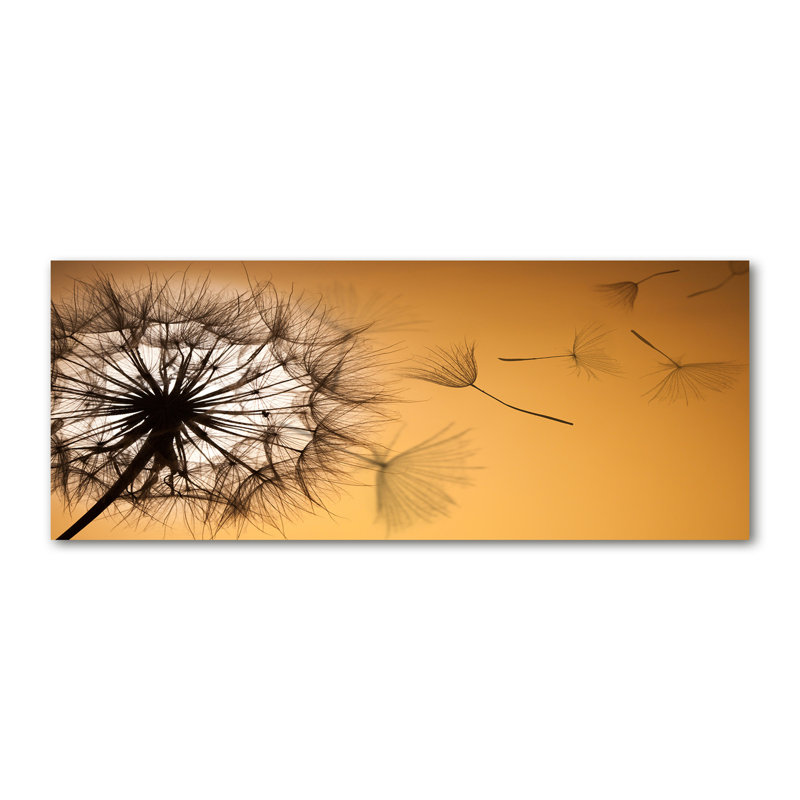 Dandelion - Wrapped Canvas Print