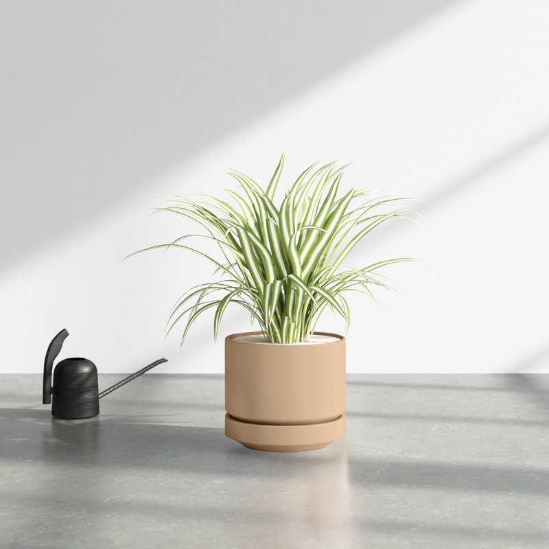 Byer Handmade Ceramic Pot Planter, Oatmeal, 7.5" H x 8.75" W x 8.75" D