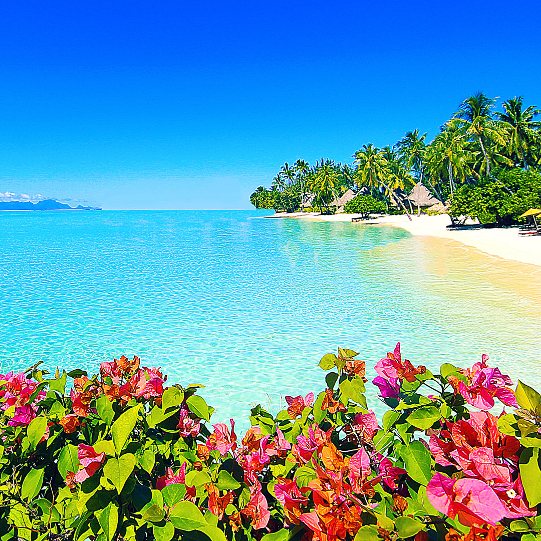 Bora Bora Tahiti von TriggerPhoto - Druck ohne Rahmen auf Leinwand