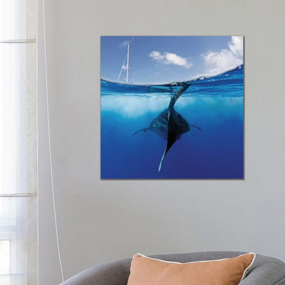 Collision Course by Alessandro Catta - Wrapped Canvas Painting